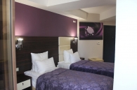  Отель Денарт, 
Двухместный номер «Комфорт» с 1 кроватью или 2 отдельными кроватями
