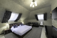 Отель Астра, Двухместный номер-студио Делюкс с 1 кроватью 