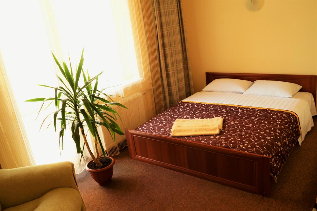 Отель «София», Номер с 1 двуспальной кроватью или 2 односпальными кроватями и ванной комнатой
